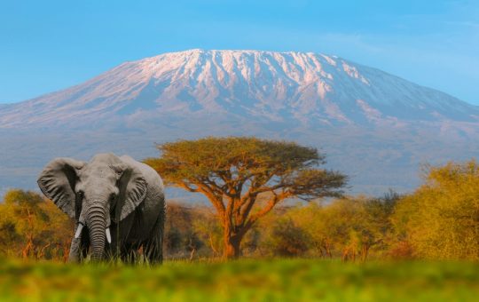 The Best Activities To Do in Mountain Kilimanjaro